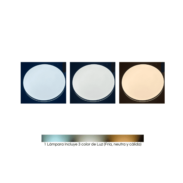 72130368-5-2.png