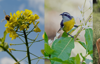 SLIDER BANNER ILUMINE (1) SLIDER BANNER ILUMINE (1)